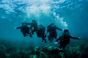 discover scuba diving
