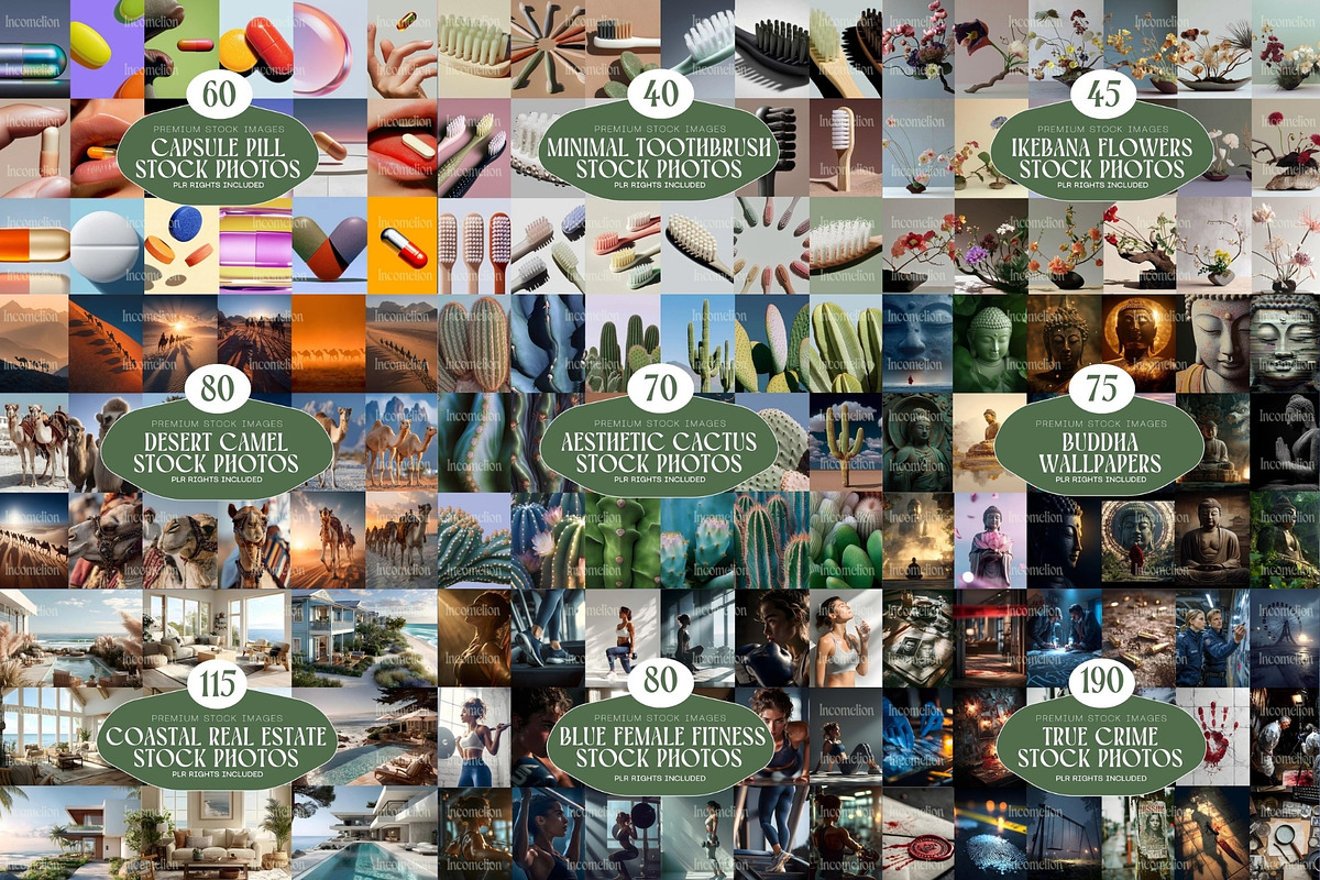 Whole Shop Bundle Incomelion, a Background Graphic by Incomelion (Photo 14 of 18)