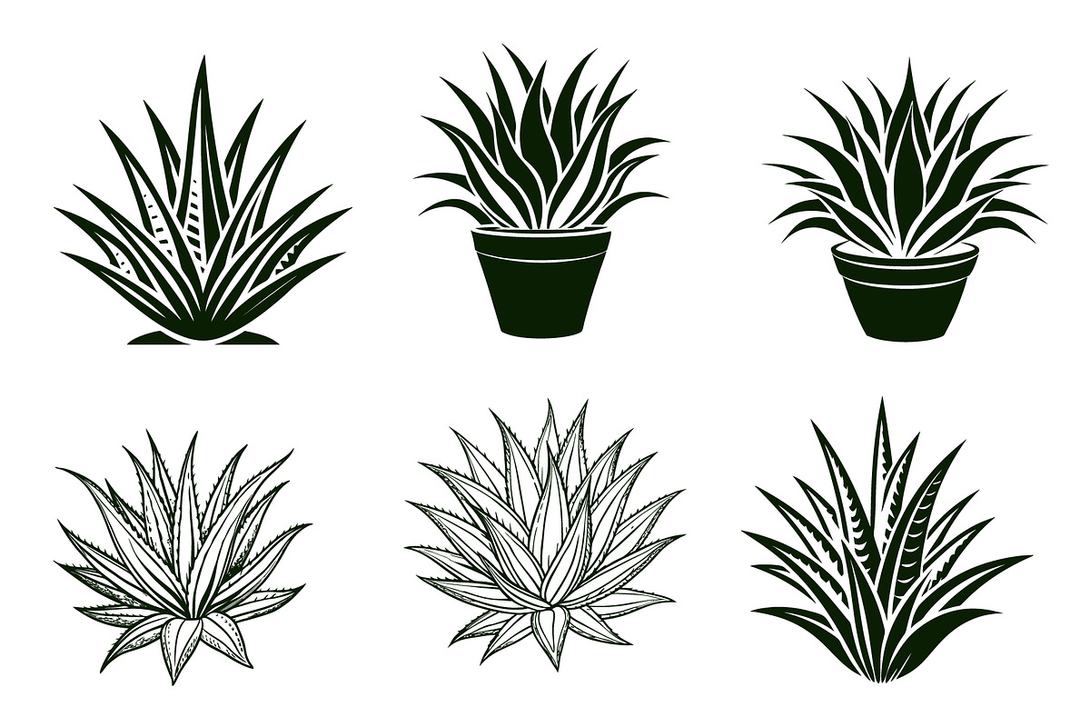 Aloe Vera vector silhouette set, an Object Graphic by Billah Hub