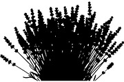 Lavender Flower Silhouette, an Object Graphic by Designer_Momina (Thumbnail 17 of 20)