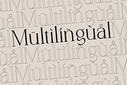 Zeantry a Modern & Elegant Serif, a Serif Font by Lettertype Studio (Thumbnail 12 of 12)
