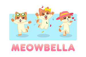 Meowbella Female Cat