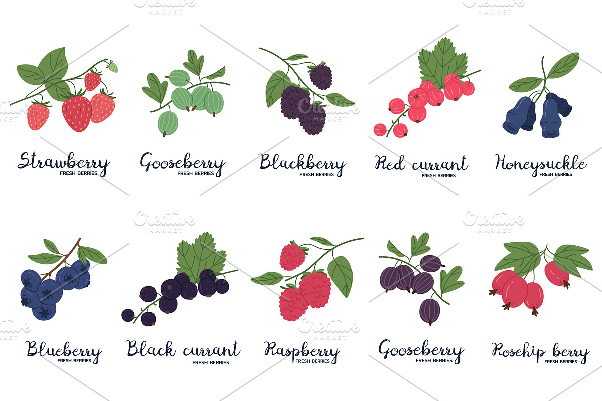 Ripe delicious berries, a Food Illustration by Torontotokio (Photo 4 of 5)