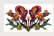 Muji Co · Symmetrical Botanics, a Decorative Illustration by milatovar (Thumbnail 6 of 16)