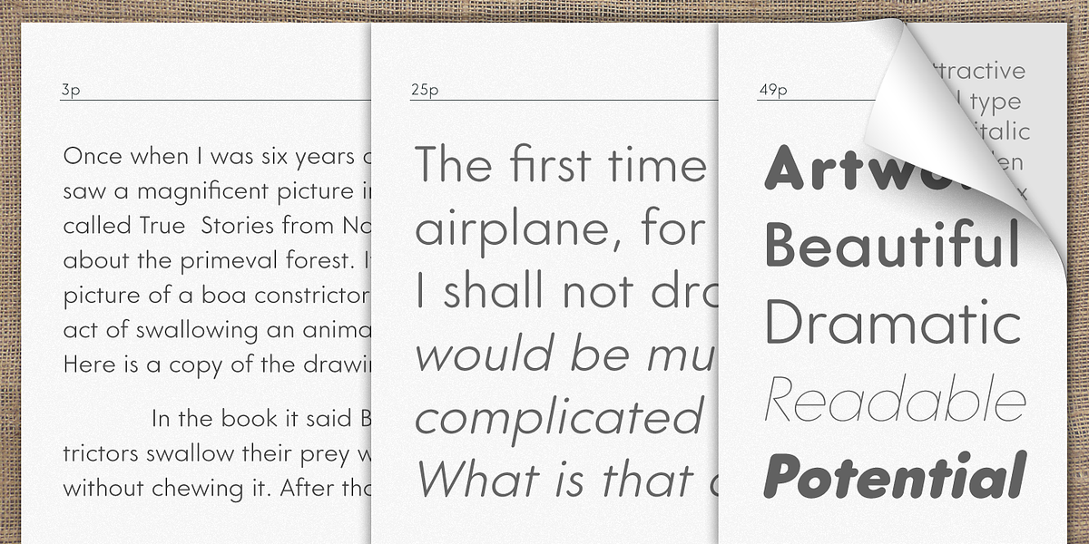 Core Sans GS, a Sans Serif Font by S-Core (Photo 4 of 5)
