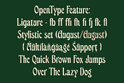 ED Bushland - Unique Display Serif, a Serif Font by Emyself Design (Thumbnail 3 of 10)