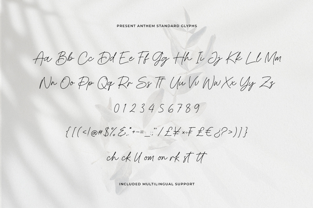 Present Anthem Modern Signature Font, a Script Font by Heinzel Std (Photo 18 of 19)