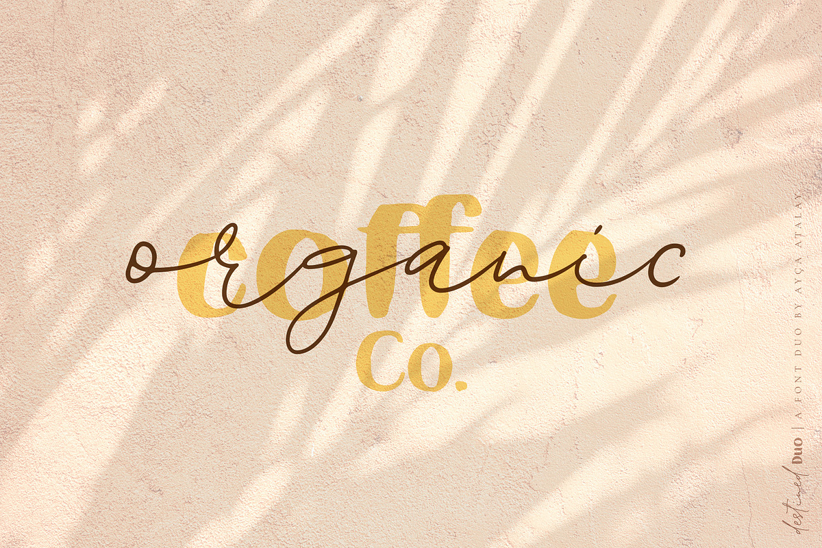 Destined Duo Brush Sans & Signature preview 2