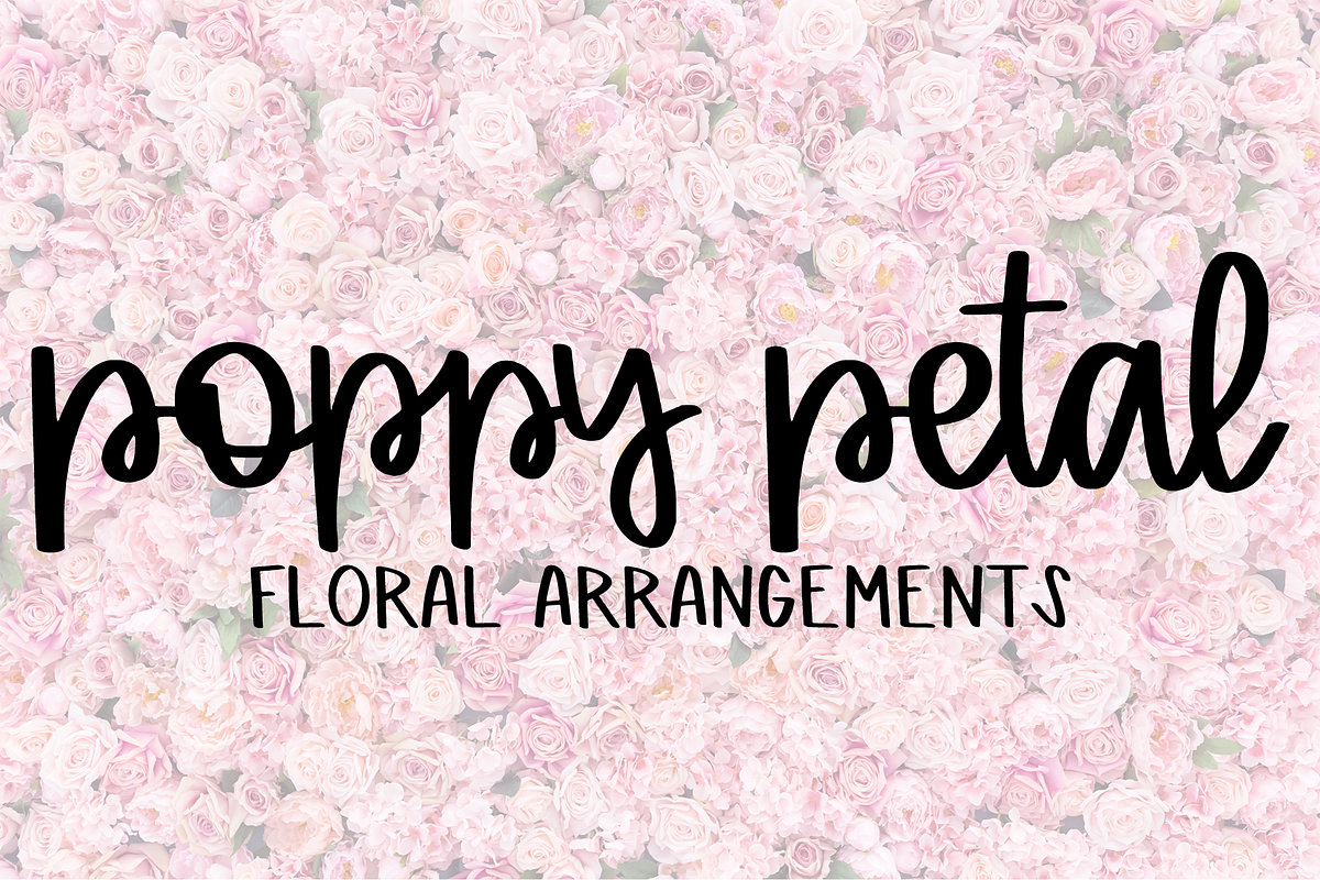 Novice - A Script & Print Font preview 5