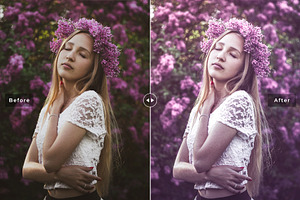 Allium Pro Lightroom Presets