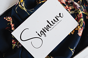 Resolute | Script Font, a Script Font by Scratchones (Thumbnail 7 of 8)