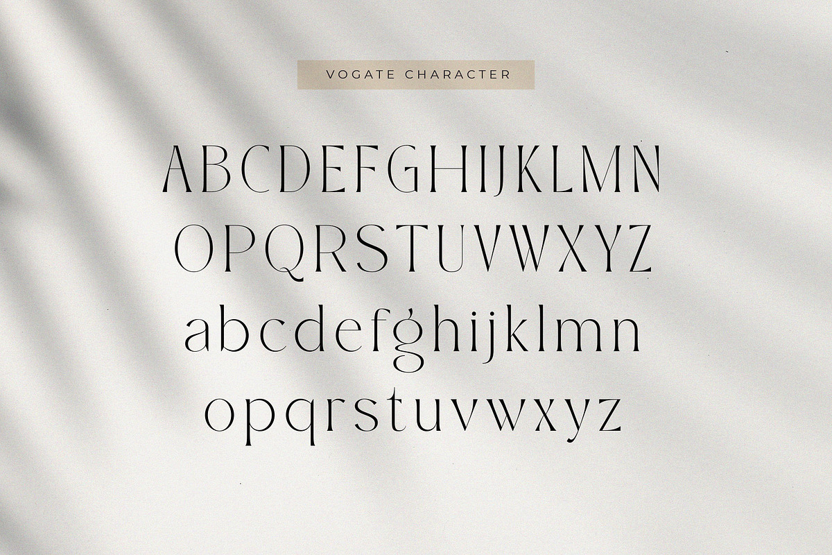 Vogate, a Serif Font by ToniStudio (Photo 4 of 9)