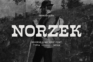 Norzek - Reverse Slab Serif