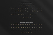 Anasite Malela - Bold Script Font, a Script Font by StringLabs (Thumbnail 10 of 11)