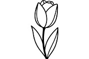 Vintage Botanical Flower Vector Set, an Object Illustration by Designer_Momina (Thumbnail 6 of 26)