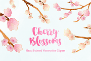 Cherry Blossoms Watercolor Clipart, an Illustration by Emerald & Ivy Studios (Thumbnail 1 of 3)
