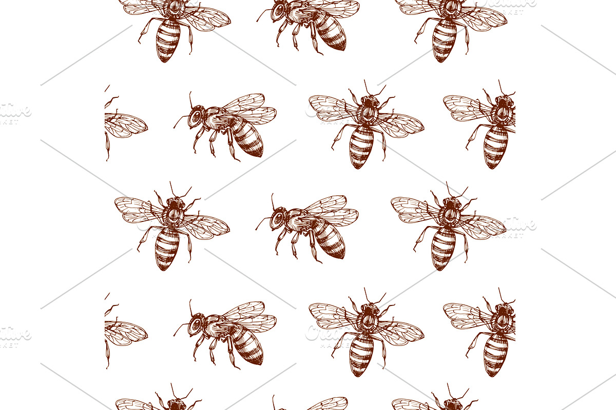 Honey bee seamless pattern. Vintage, a Background Graphic by Valerie Bodnar
