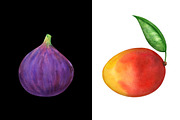 Watercolor set fruits and berries, a Food Illustration by Color_Brush (Thumbnail 3 of 12)