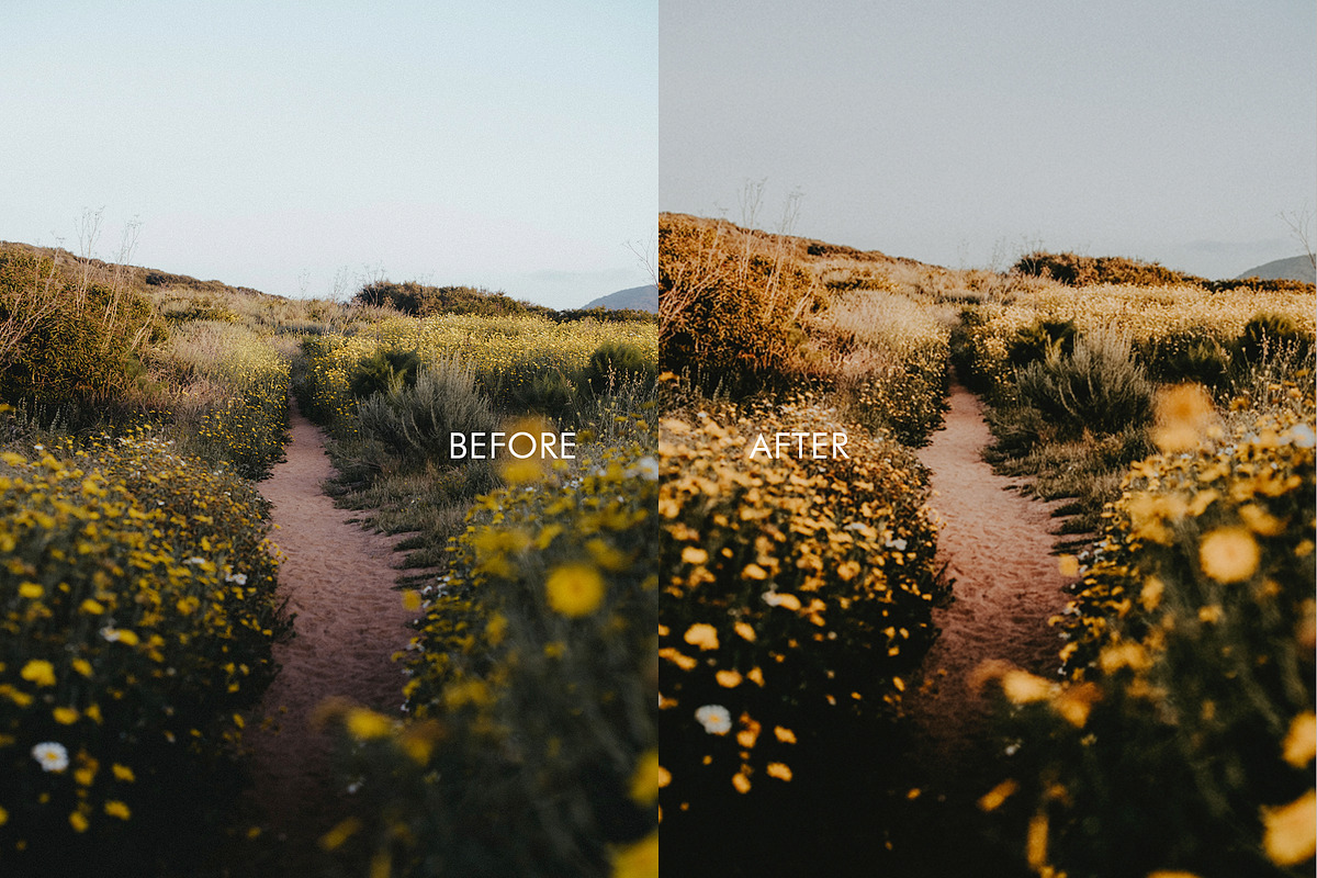 Velvet Brown Lightroom Presets Pack, a Preset Add-On by URSAL Supply (Photo 6 of 6)