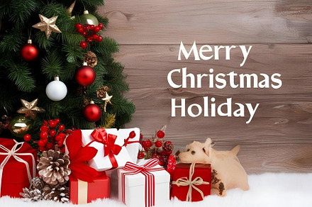 Holidays, a Holiday Photo by ComfortQ