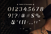 Saffiera - Classy Serif Font, a Serif Font by Flawless And Co (Thumbnail 8 of 10)