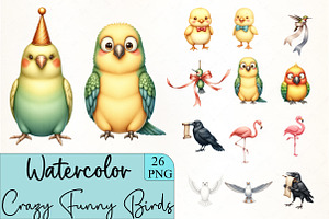 Crazy Funny Birds Clipart Bundle, an Illustration by CrexoraLab