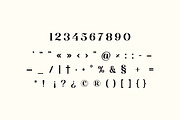 Monarch Paradox Vintage Serif Font, a Serif Font by UICreative (Thumbnail 4 of 13)