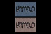 Pomelo Font Duo, a Handwritten Font by Tom Gordon Design (Thumbnail 5 of 5)