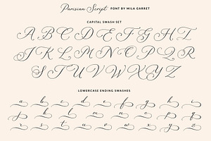 Parisian Vintage Calligraphy Script