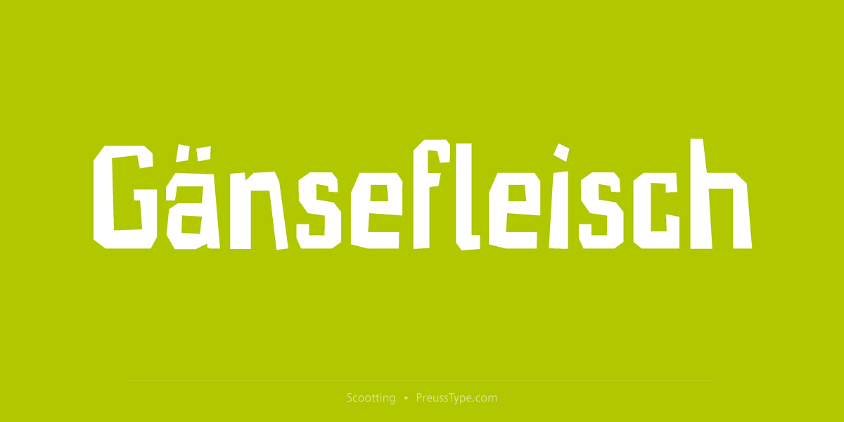 Scootting, a Handwritten Font by preussTYPE (Photo 4 of 8)