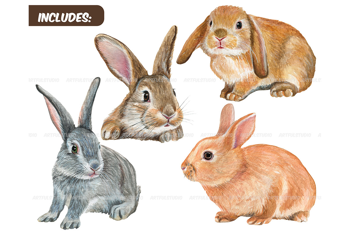 Watercolor Realistic Rabbits clipart, an Animal Illustration by ArtfulStudio (Photo 2 of 8)