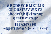 Minguest - Decorative Serif Font, a Serif Font by StringLabs (Thumbnail 9 of 9)