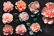 Camellia Charm, a Background Graphic by MONO KEY STUDIO (Thumbnail 7 of 8)