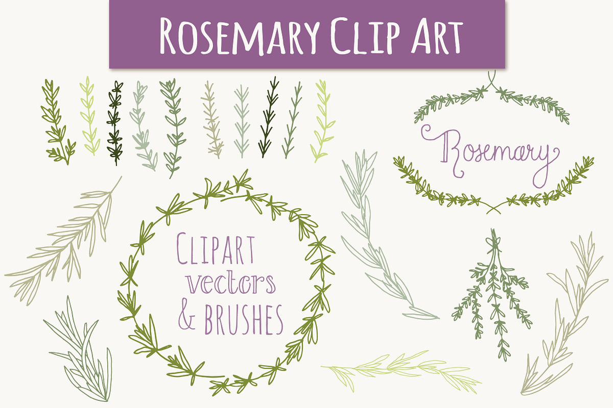 Rosemary Clip Art & Vectors