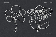 Whimsy Bloom: 75 Flowers Collection, an Object Illustration by Veyla (Thumbnail 11 of 17)
