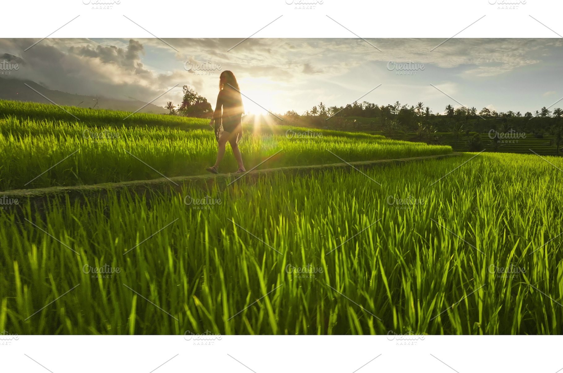 Woman walking along rice paddy, a Person Photo by Goinyk