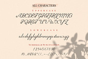 Sherley, a Script Font by PutraCetol Studio (Thumbnail 5 of 15)