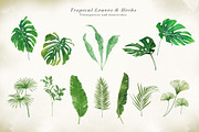 Watercolor & Gold Tropical Leaves, an Object Illustration by Papatongartist (Thumbnail 6 of 10)