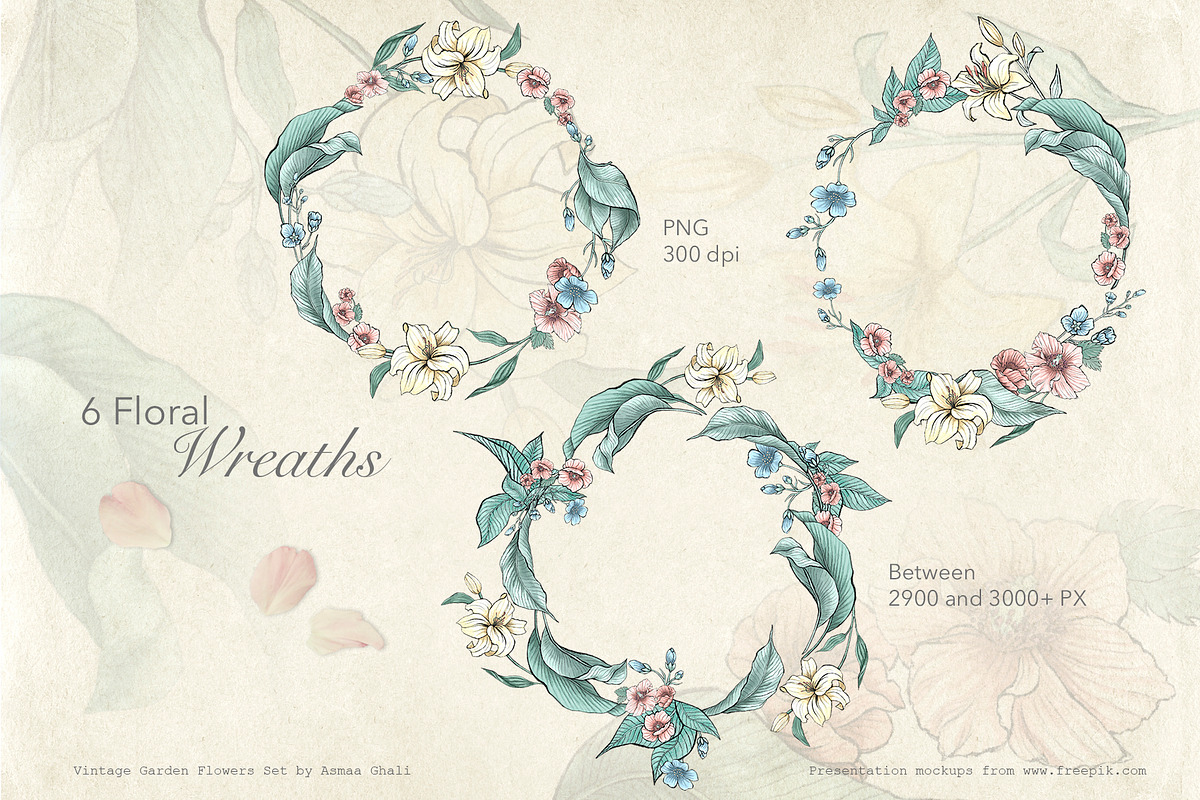 Vintage Garden Flowers, a Decorative Illustration by Evenif (Photo 5 of 22)