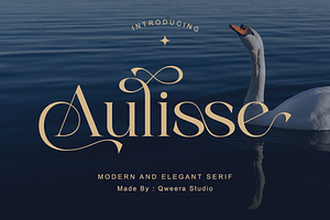 Aulisse - A Modern Elegant Serif, a Serif Font by Qweera Studio