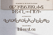 Gobellast Serif Font, a Serif Font by Artiveko (Thumbnail 5 of 10)