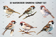 Watercolor Sparrow Clipart Set, an Animal Illustration by CropUp Creative (Thumbnail 2 of 5)
