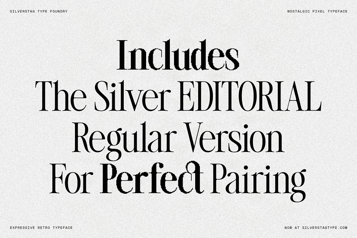 The Silver Editorial Pixel Version, a Serif Font by SilverStag Type Foundry (Photo 8 of 20)