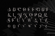 Augvari - Modern Luxury Serif, a Serif Font by Qweera Studio (Thumbnail 11 of 12)
