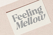 Callum Text Serif | 9 Font, a Serif Font by Positive TypeFoundry (Thumbnail 8 of 13)
