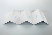 6 Panel Accordion Brochure mock, a Print Template by Shop Mockpro (Thumbnail 8 of 10)