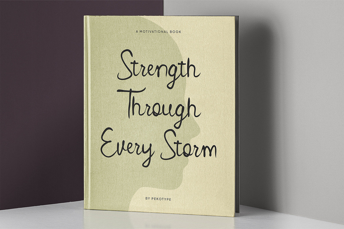 Peach Willow - Cute Handwritten Font, a Font by Pekotype (Photo 14 of 15)