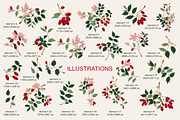 Rosehip Elegant Romantic Pattern, a Pattern Graphic by Mariia Kovalchuk (Thumbnail 3 of 13)