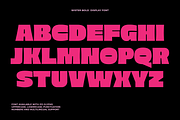 Wister - Bold Font, a Sans Serif Font by limitype (Thumbnail 7 of 12)
