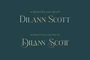 Brattons - Stylistic Ligature Serif, a Serif Font by LoneArmy (Thumbnail 7 of 10)